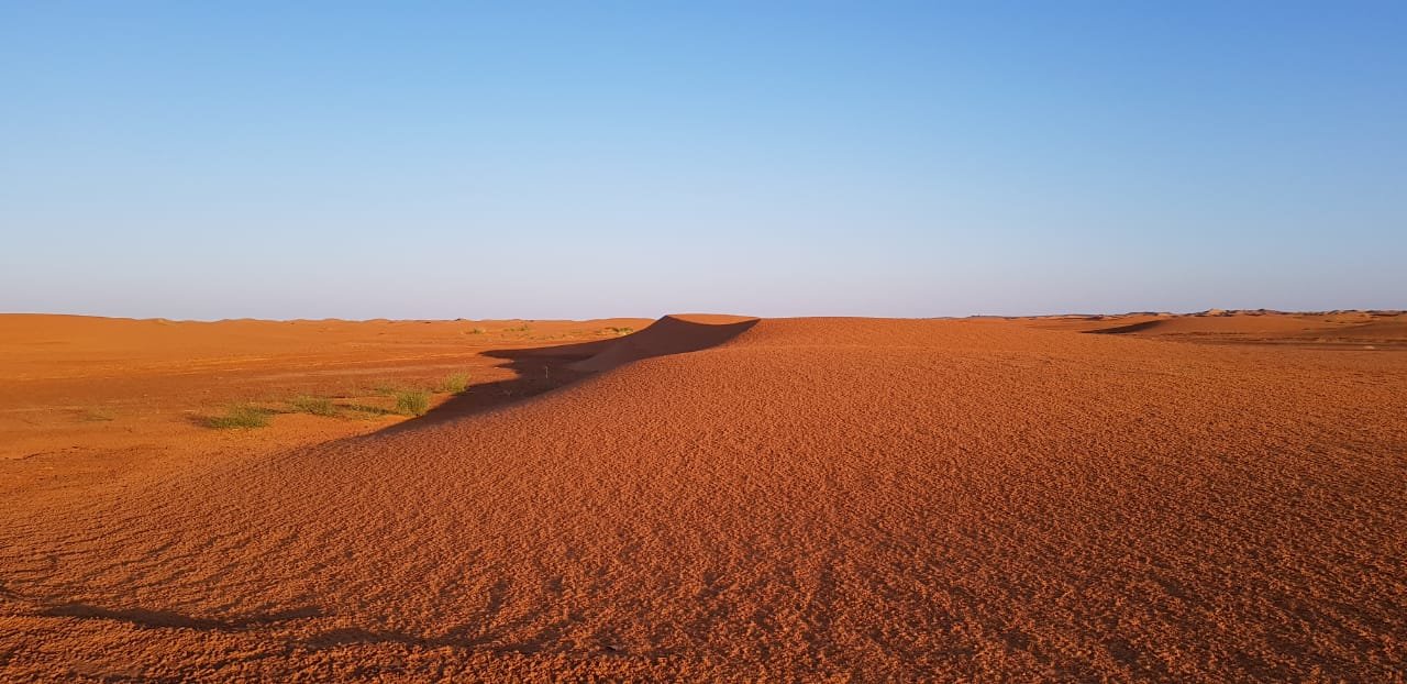 Il Richiamo del Deserto